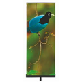 Premium Black Retractable Banner Stand 34" w/ Vinyl Graphic